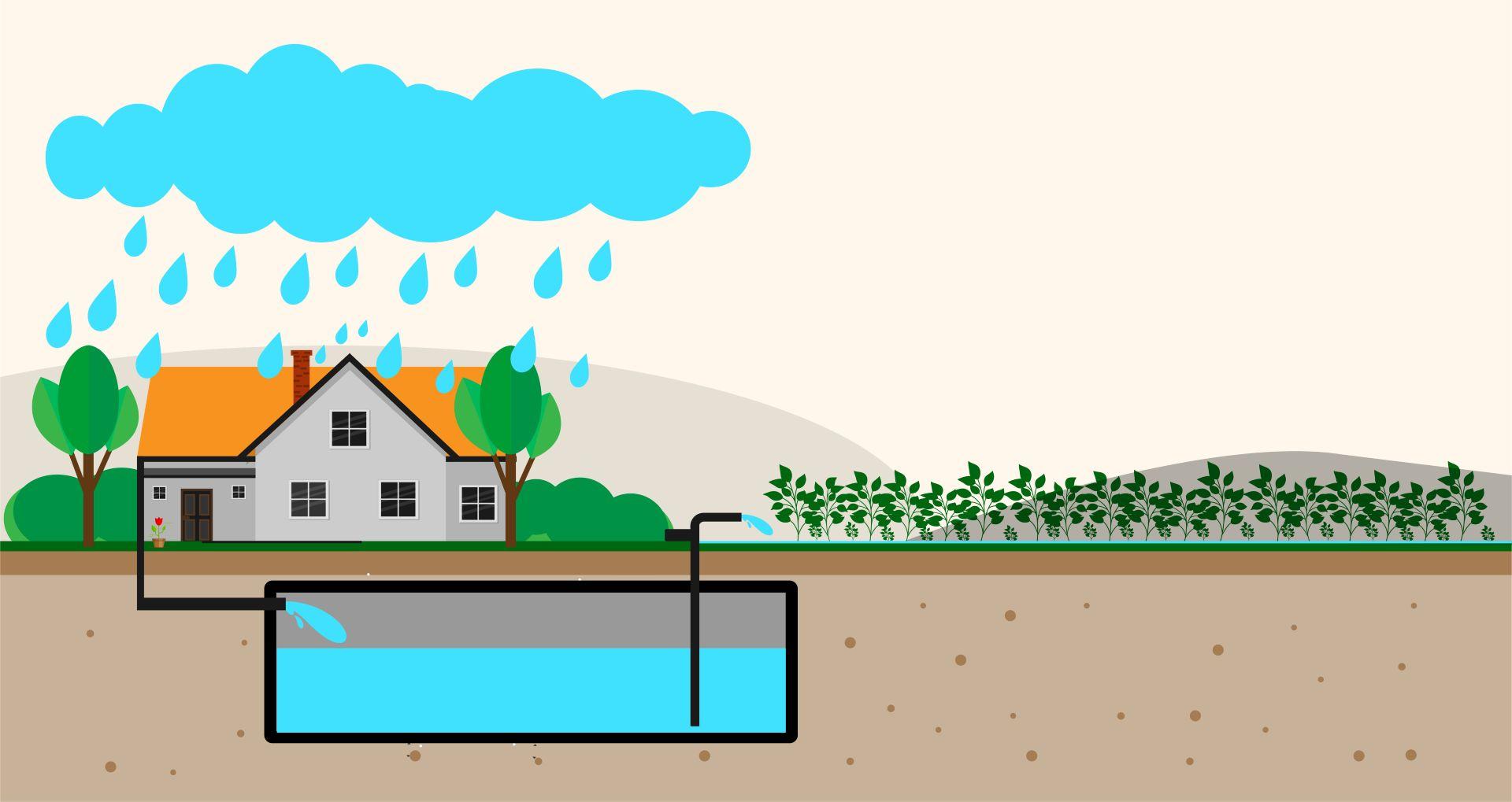 Grafik zur Nutzung von Regenwasser aus einer Zisterne zur Gartenbewässerung und Pflanzenpflege